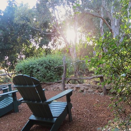 Bentwood Olive Grove Accommodation Greenough Номер фото
