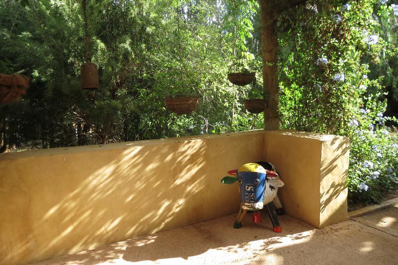 Bentwood Olive Grove Accommodation Greenough Экстерьер фото